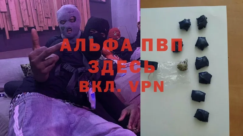 дарнет шоп  Артёмовский  A PVP СК 