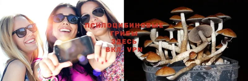 Псилоцибиновые грибы Psilocybine cubensis  ОМГ ОМГ как войти  Артёмовский  купить наркоту 